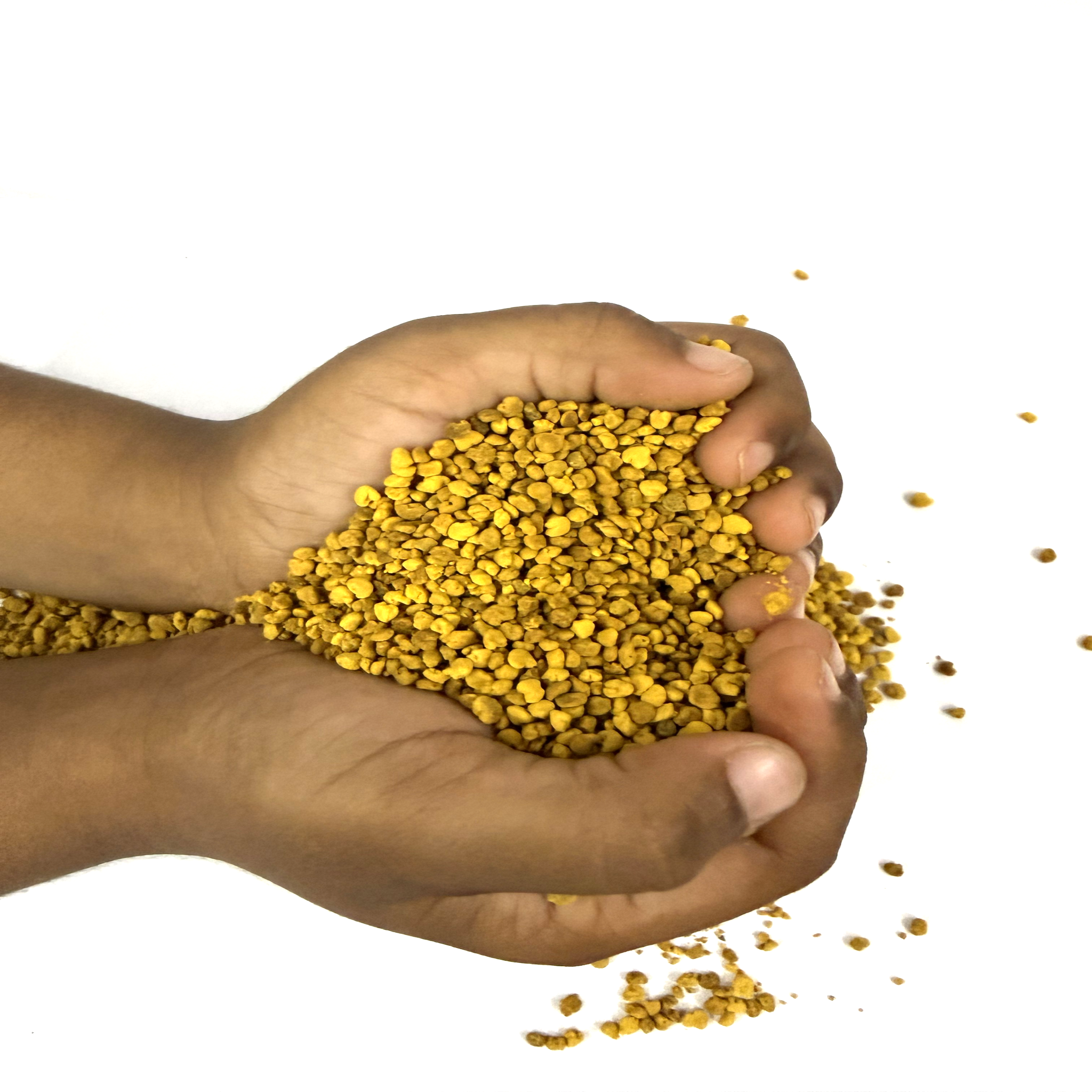 Bee Pollen Premium Quality